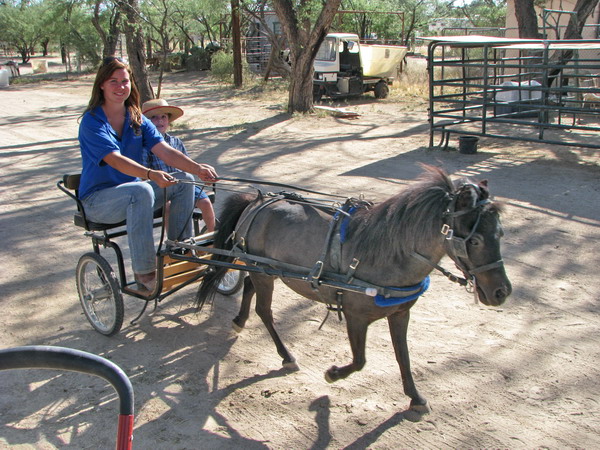 Birthday_Cart_Ride_small